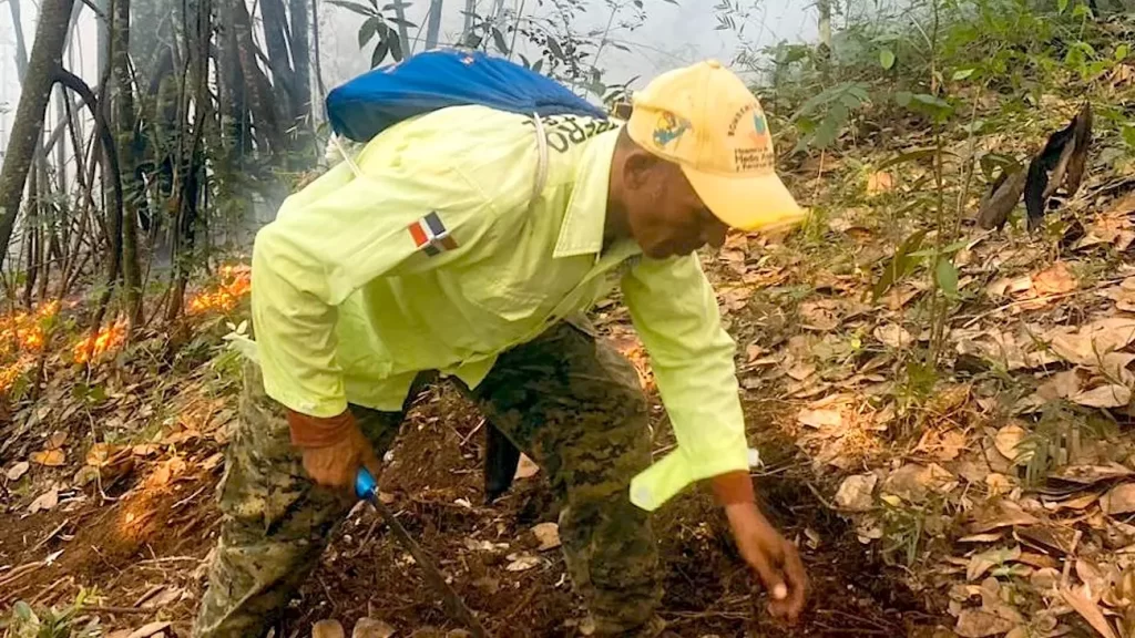 Bomberos forestales