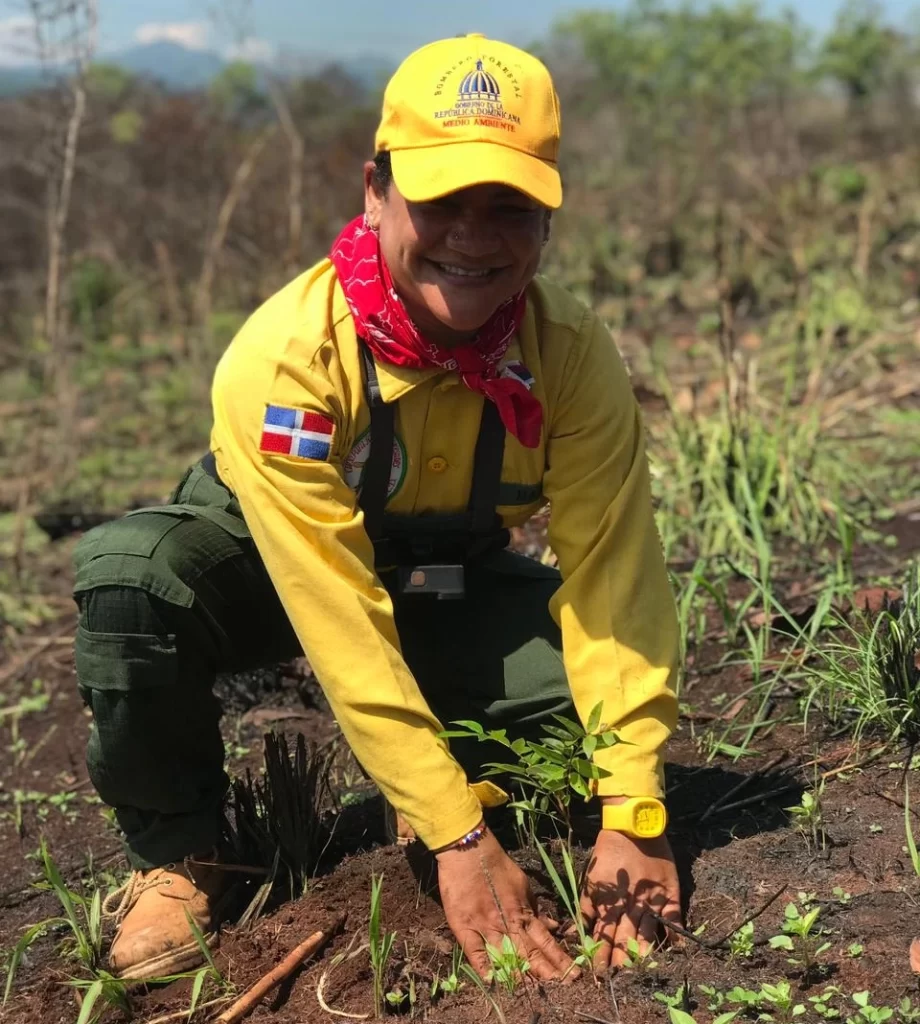 Bomberos forestales