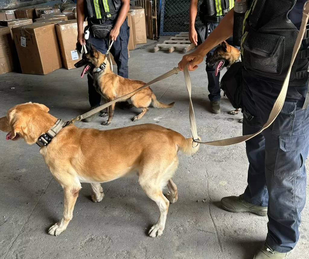 Nueva unidad canina K9 de DGA