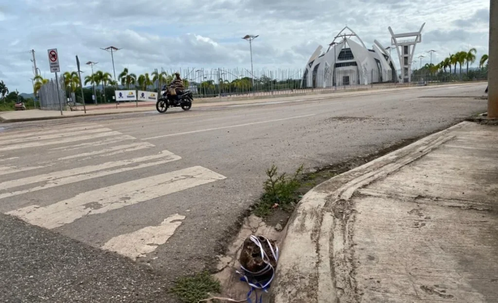 cráneo humano