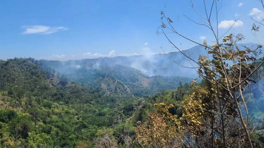 Incendios forestales