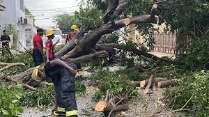 Edesur logra restablecer servicio a casi 700,000 clientes en zonas afectadas por Melissa