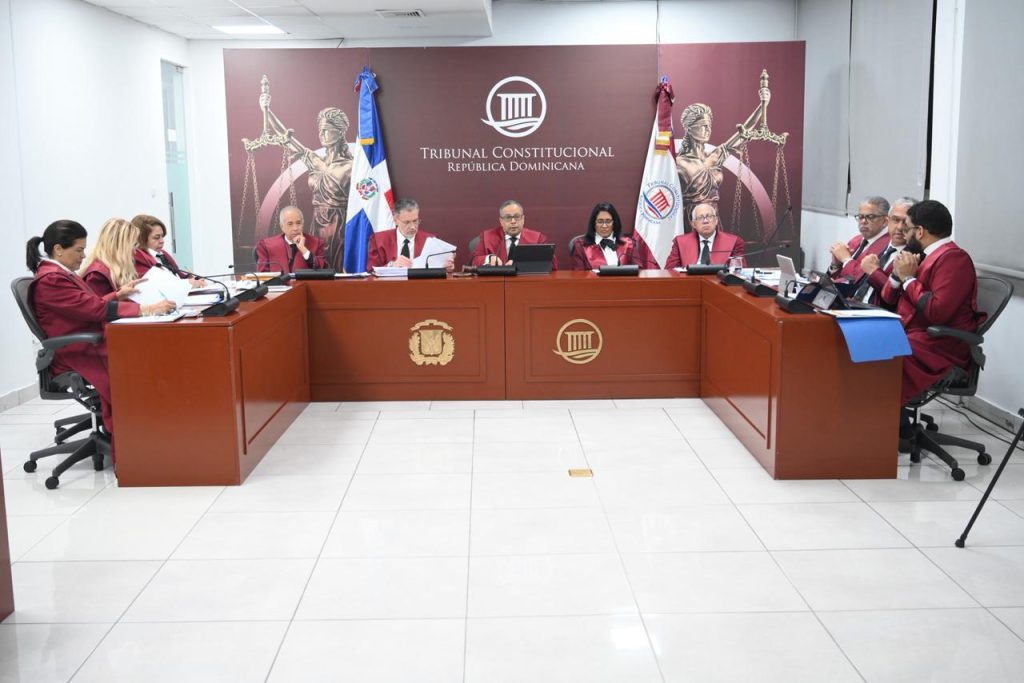 TC deja en estado de fallo 17 expedientes de acción directa de inconstitucionalidad