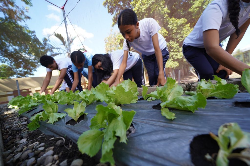 Huertos escolares del INABIE promueven conciencia ambiental y alimentaria en estudiantes