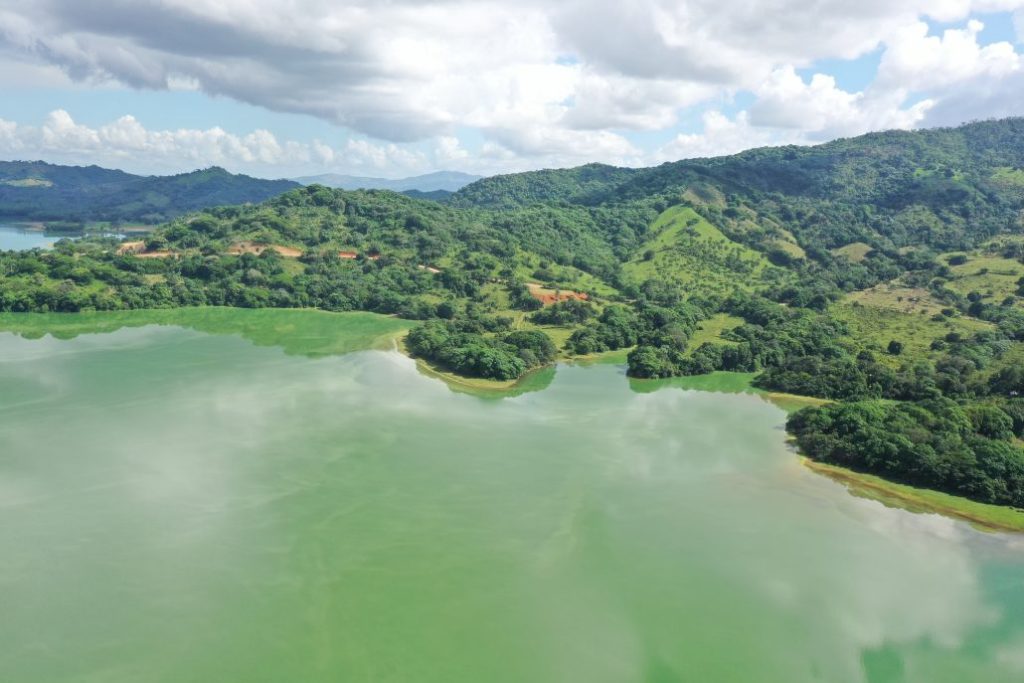 Medio Ambiente atribuye coloración verde en la presa de Hatillo a una floración de algas presa de Hatillo