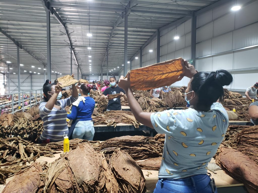 Exportaciones de Zonas Francas crecen durante primer trimestre de este año