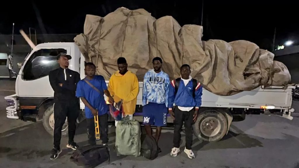 Ejército intercepta camión transportaba haitianos ilegales ocultos entre vegetales en Constanza