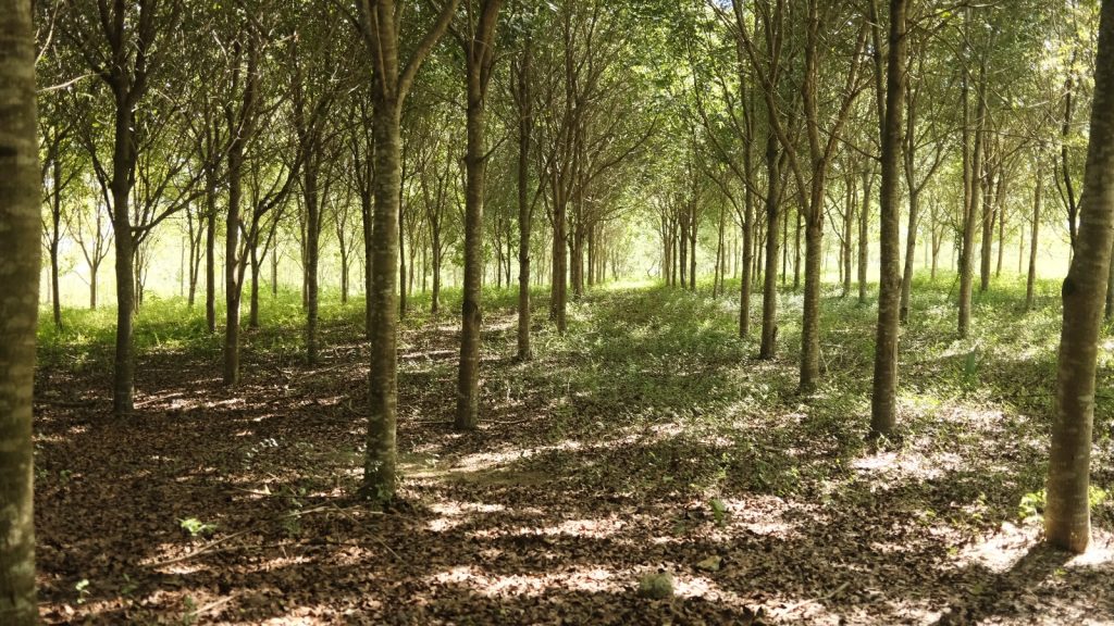 CAMIPE propone fortalecer las garantías de cierre y remediación ambiental en la nueva ley minera CAMIPE