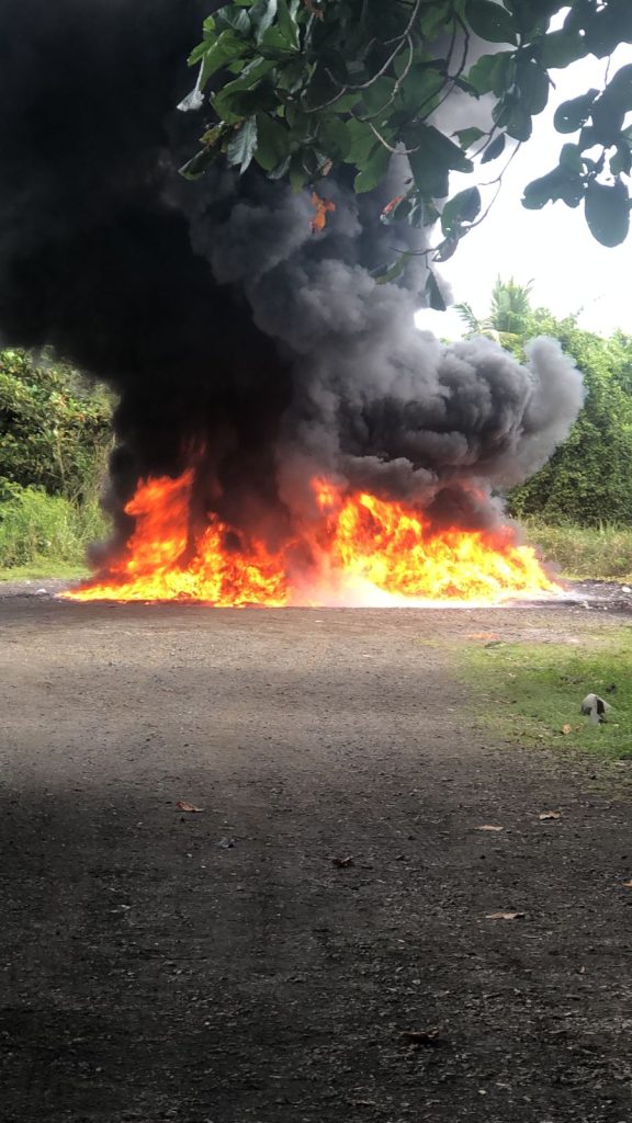 El Inacif destruye más de dos toneladas de drogas drogas