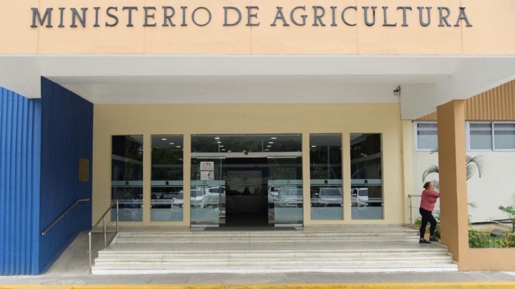 Agricultura adopta medidas para fortalecer la exportación de mango hacia Europa y los EE.UU.