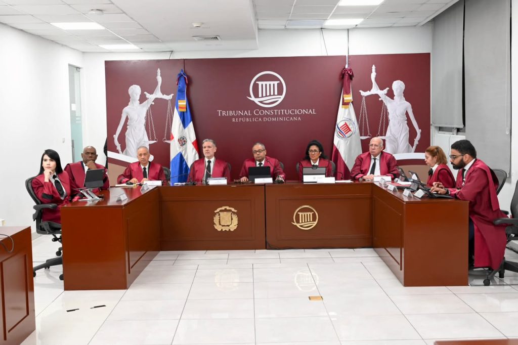 Inclusión, Código Penal y régimen electoral centran audiencia del TC con 23 acciones de inconstitucionalidad