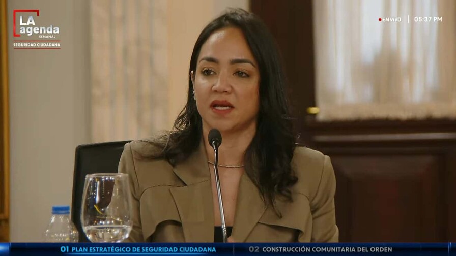 Gobierno busca frenar violencia social con nueva ley de convivencia ciudadana Faride Raful