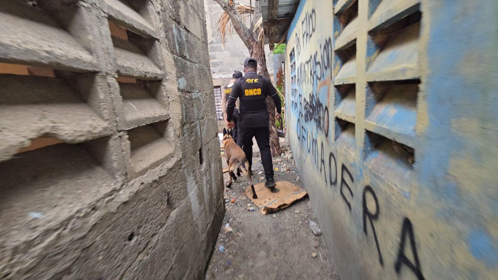 DNCD y MP disponen de 50 operativos y allanamientos contra el micrográfico en el Distrito Nacional