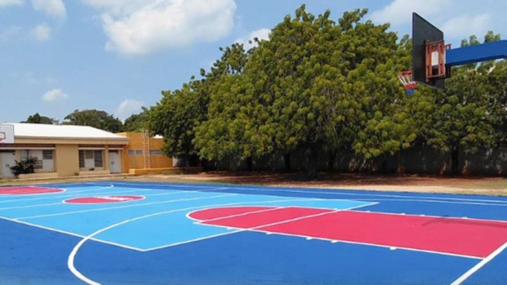 canchas